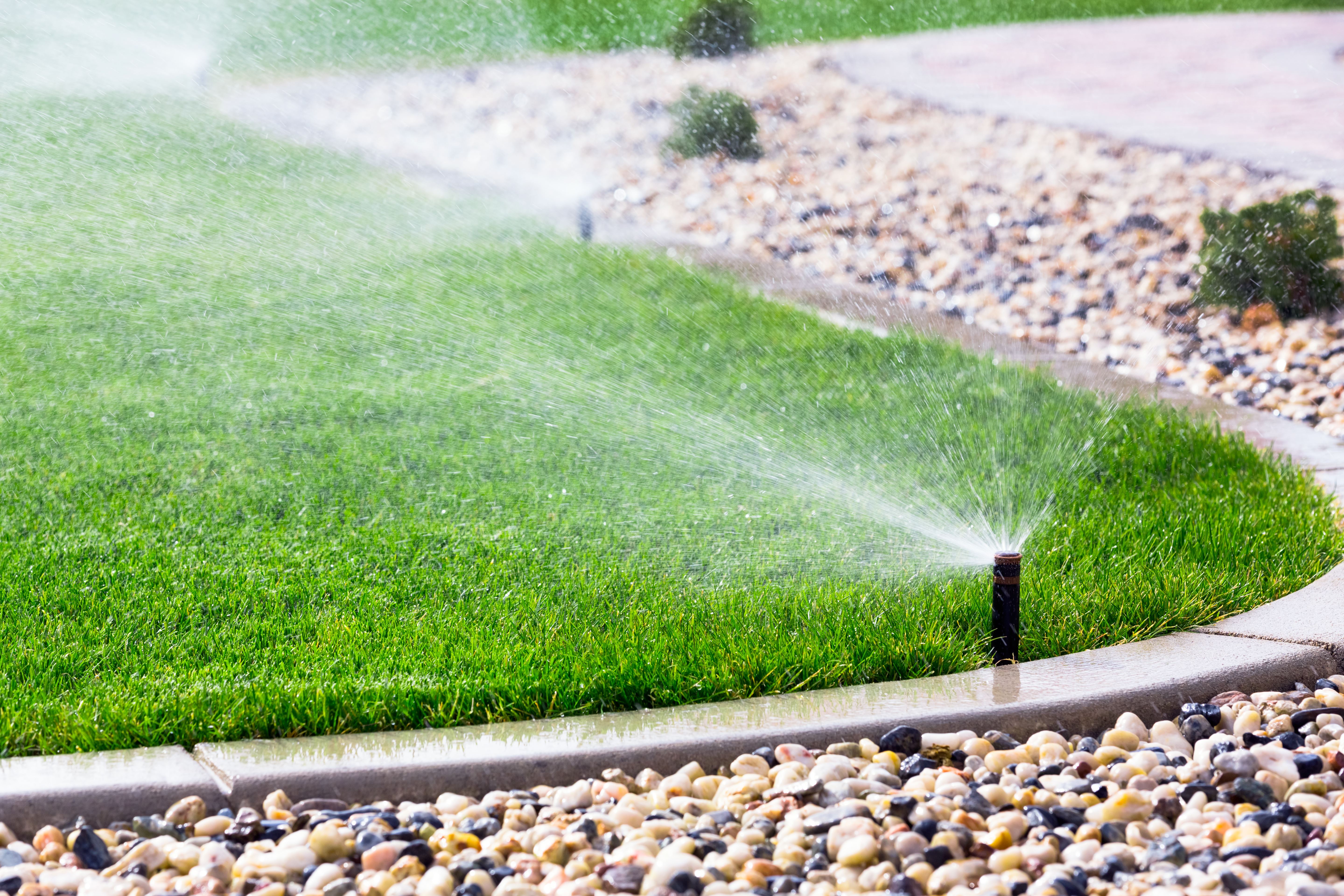 Green grass bordered by a rock garden as sprinklers water the grounds.